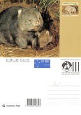 Australia Australian wildlife COMMON WOMBAT (BOMBATO) (R-L 215)