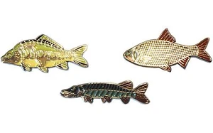 Mirror Carp, Roach & Pike Freshwater Game Fish Angling Pin Angler Enamel Badges - Picture 1 of 7
