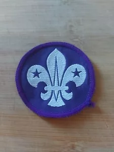 UK Scouting 1980's Leaders Jacket Badge New Old Stock - Picture 1 of 1