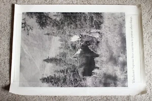 Winchester Supreme Frees Your Time To Pursue Other Things Vintage Moose Poster - Picture 1 of 4