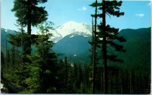 Lot von 3 Mount Rainier Postkarten Mt.Rainier WA Feenbecken Eunice See Chinook - Bild 1 von 6