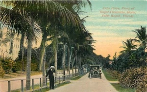 PALM BEACH FLORIDA AUTO DRIVE FRONT OF ROYAL POINCIANA HOTEL POSTCARD - Bild 1 von 2