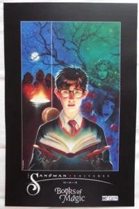 NYCC 2018 EXCLUSIVE DC/VERTIGO THE Sandman Universe BOOKS OF MAGIC POSTER - Picture 1 of 3