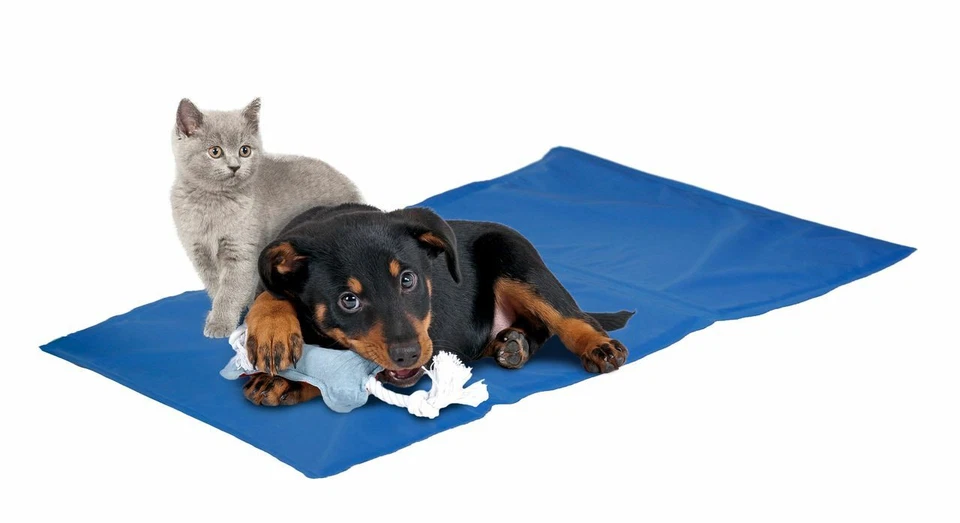 Karlie 522613 Kühlkissen Fresk L 50 S (40 cm) Fresk (blau)