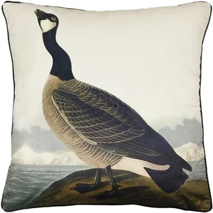 Cojín John James Audubon Hutchin's Barnacle Goose 55 x 55 cm Tubería Terciopelo Suave - Imagen 1 de 2