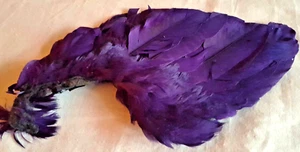 Plumes XIXe pour Modiste ,Chapeaux ou autres - Imagen 1 de 2