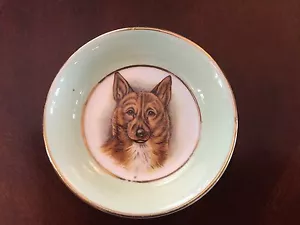 Paragon, nach Vereinbarung, an Ihre Majestät die Königin, feines Bone China - Bild 1 von 8