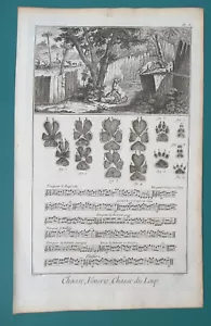 JAGD Wölfe Fallen Schaf Köder Horn ruft Fußabdrücke - 1763 Diderot Druck - Bild 1 von 1