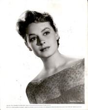 LD286 1956 Orig Photo VICTORIA SHAW Eddy Duchin Story Beautiful Aussie Actress