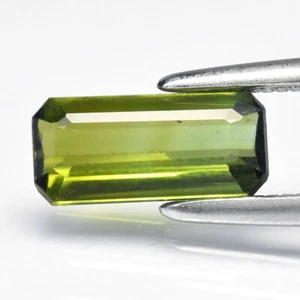 ★ RARE ★ TOURMALINE VERTE DU MOZAMBIQUE 8.2 mm x 3.8 mm ★★ P489.154T - Imagen 1 de 1