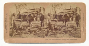 Cacciatori di canguri in campo Stereoview * Nuovo Galles del Sud 1903 SV - Foto 1 di 2