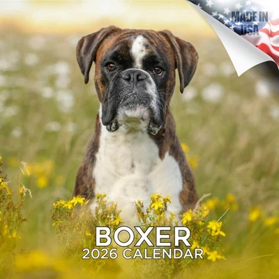 MEGACALENDARS Boxer Dog Breed Calendar 2026 FULL SIZE 12x24 Made in USA