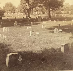 Cementerio Nacional de Tumbas del Cementerio de Soldados de Arlington JF Jarvis Estéreo c1895 SA6 - Imagen 1 de 5