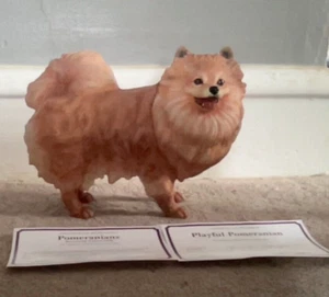 Realistic Medium Size Resin Animal. Pomeranian Dog Called Playful Pomeranian. - Picture 1 of 7