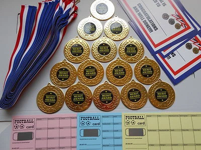 DWL VERDIENSTAUSZEICHNUNG - 50 MM METALL MEDAILLEN / BÄNDER / X 15 MIT URKUNDEN / KARTEN