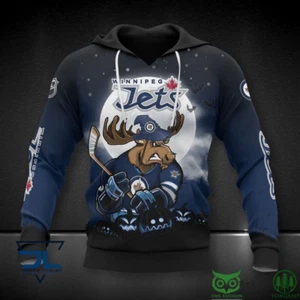 Winnipeg Jets Hoodie Pullover Hooded Hockey Team Christmas Gift For Hockey - Picture 1 of 2