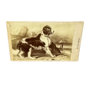 Vintage CDV Album Filler Old Photo - Currier & Ives Print ~ St. Bernard Rescue - Picture 1 of 2