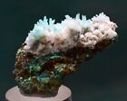4.4Cm Chrysocolla On Selenite Porcupine Crystals Bi Color Peru Malachite  Tb27