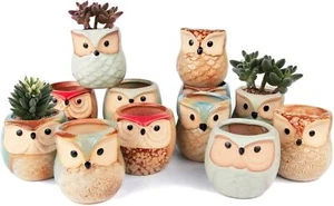 2.5 Inch Owl Ceramic Succulent Planter Pots with Drainage Hole Set of 12 - Picture 1 of 9