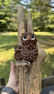 Handmade Rustic Driftwood Art Sculpture Wall Hanging w/Pine Cone Owls Decor - Picture 1 of 7
