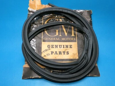 Nuevo de Lote Antiguo GM 1959 Oldsmobile 98 Cadillac 4 puertas techo rígido derecha resistente a la intemperie en riel de techo Foto 1 de 4