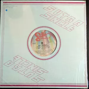 GAIL FREEMAN ~ Danger In The Airwaves FUNK SOUL HOUSE 12” Vinyl Single FREE SHIP - Picture 1 of 4