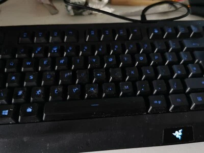 Razer Cynosa Lite Essential Gaming Computer Keyboard - Image 1 of 4