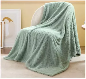 Bedsure Sage Green Fleece Throw Blanket 50x60 Inches Cozy Soft Blanket - Picture 1 of 6