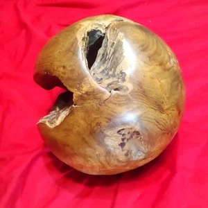 6# Burl Wood Sphere Ball Orb Pac-Man Shape 8" - Picture 1 of 15