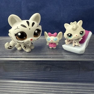 Littlest Pet Shop Mama und Baby weißer Tiger #3585 und #3586 - Bild 1 von 5