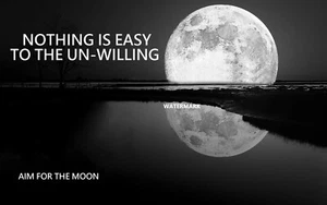 OFFICE WORK HOME SUCCESS MOTIVATION NOTHING IS EASY TO THE UN-WILLING GIFT PHOTO - Picture 1 of 1