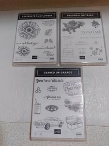 3 SET DI FRANCOBOLLI HTF STAMPIN UP CLING CELEBRANO GIRASOLI, BELLA BUFERA DI NEVE ++ - Foto 1 di 4