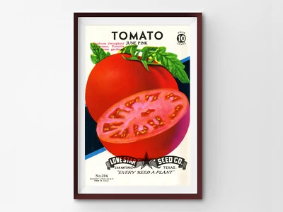 ¡PÓSTER paquete de semillas vintage de tomate! (hasta 24" x 36") - Cocina - Cocina - Arte Foto 1 de 4