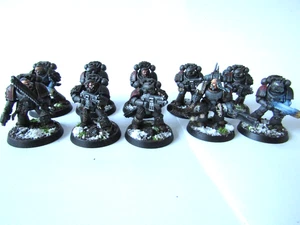 WARHAMMER 30/40K SPACE MARINES SPACE WOLVES TACTICAL SQUAD  WELL PAINTED - Picture 1 of 9