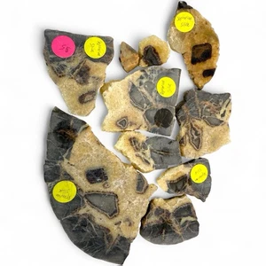 A Set of Top Grade Septarian Slabs Fine Mineral Crystals Rock Specimens  - Picture 1 of 3