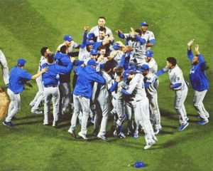 2015 KANSAS CITY ROYALS Champions 8x10 Photo World Series Poster Celebrating! - Picture 1 of 1