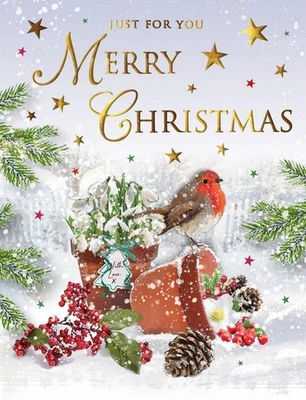 REGAL PUBLISHING Open Christmas Card. Robin Design. For Male Or Female. 19x13xm (8x6 Inches)