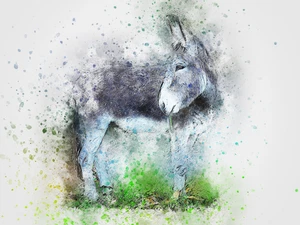 Donkey Farm Rustic Cattle Cowboy High Quality Canvas/Photo Paper PA27 - Picture 1 of 6