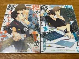 Sakura Day Ladder 1/2 - Limited Edition, New Condition - Picture 1 of 1