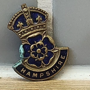 Vintage Enamel On Brass Hampshire Girl Guides Pin Badge original  - Foto 1 di 3