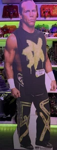 SHAWN MICHAELS WWE WRESTLER LIFE SIZE CARDBOARD STANDEE STANDUP DEGENERATION X - Picture 1 of 5