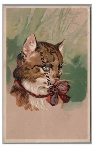 Postal ilustrada de gatito CAT PBF serie 5951 vintage 1910 - Imagen 1 de 2