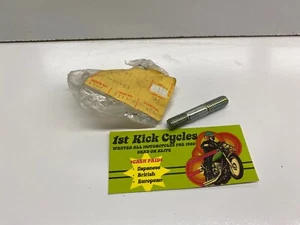 NOS Kawasaki 92004-065 Stud 8x30 KL KZ KLT KL250 KZ1000 KZ250 KLT200 CSR LTD - Foto 1 di 2