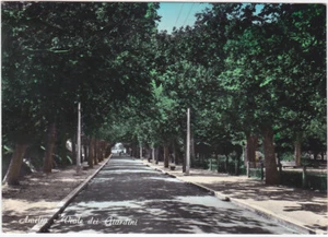 AMELIA - TERNI - VIALE DEI GIARDINI - VIAGG. 1959 -81525- - Picture 1 of 1