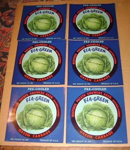 6 VINTAGE CABBAGE Unused CRATE LABELS 1930-1960 ADVERTISING -Bright Colorful #E1 - Picture 1 of 2