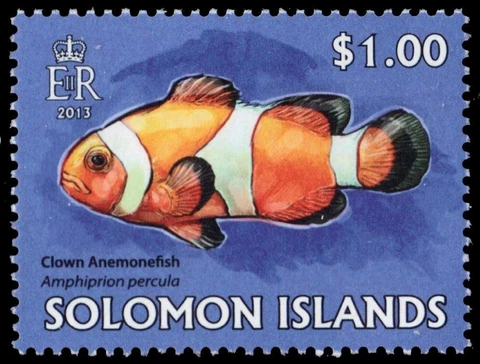 SOLOMON ISLANDS 1407 - Clown Anemonefish "Amphiprion percula" (pb64208) Cover