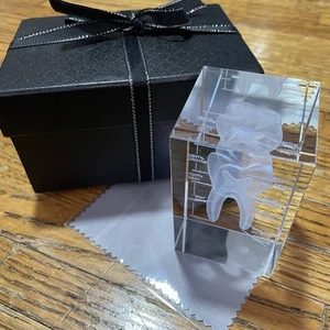 3D Laser Etched Glass Crystal Tooth Anatomy Dentistry Gift Paperweight w Box - Picture 1 of 11