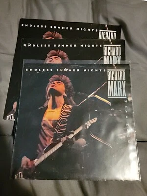 RICHARD MARX Endless Summer Nights NO RECORD!!! PICTURE SLEEVE ONLY!!! 45 7" - Image 1 of 4