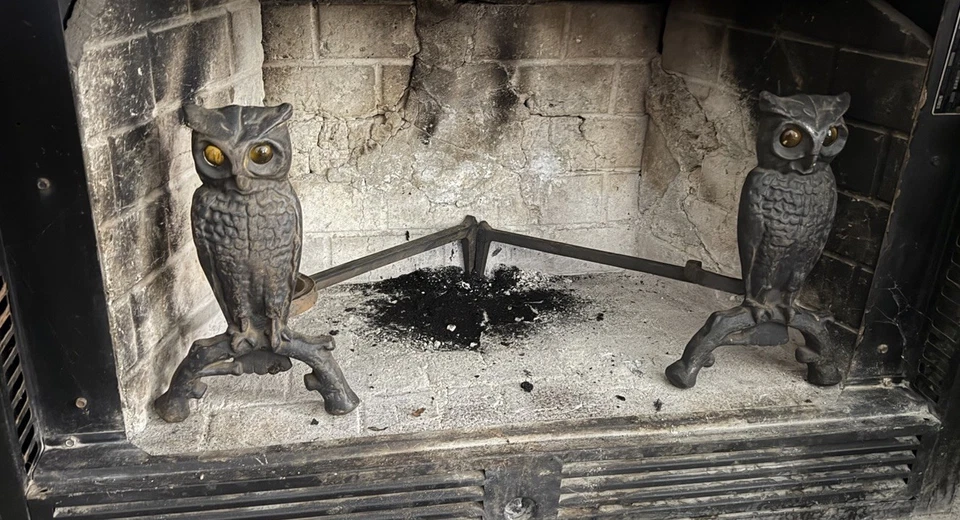 Antique Cast Iron Owl Andirons W/ Glass Amber Eyes Fireplace Andirons 13" Tall - Image 1 of 4