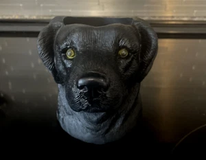 Black Lab Isolierter Koozie/Coozie Dosenhalter Getränk Bier Retriever Jagdhund - Bild 1 von 7